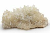 Pale-Yellow, Dogtooth Calcite Crystal Cluster - Pakistan #221373-1